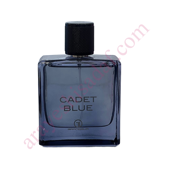 cadet-blue1