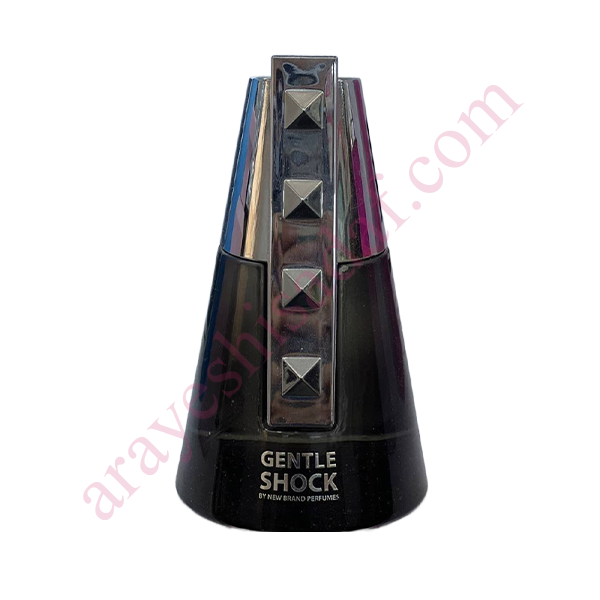 gentel-shock1 ادو پرفیوم مردانه نیو برند مدل جنتل شاک حجم 100 میلی لیتر
